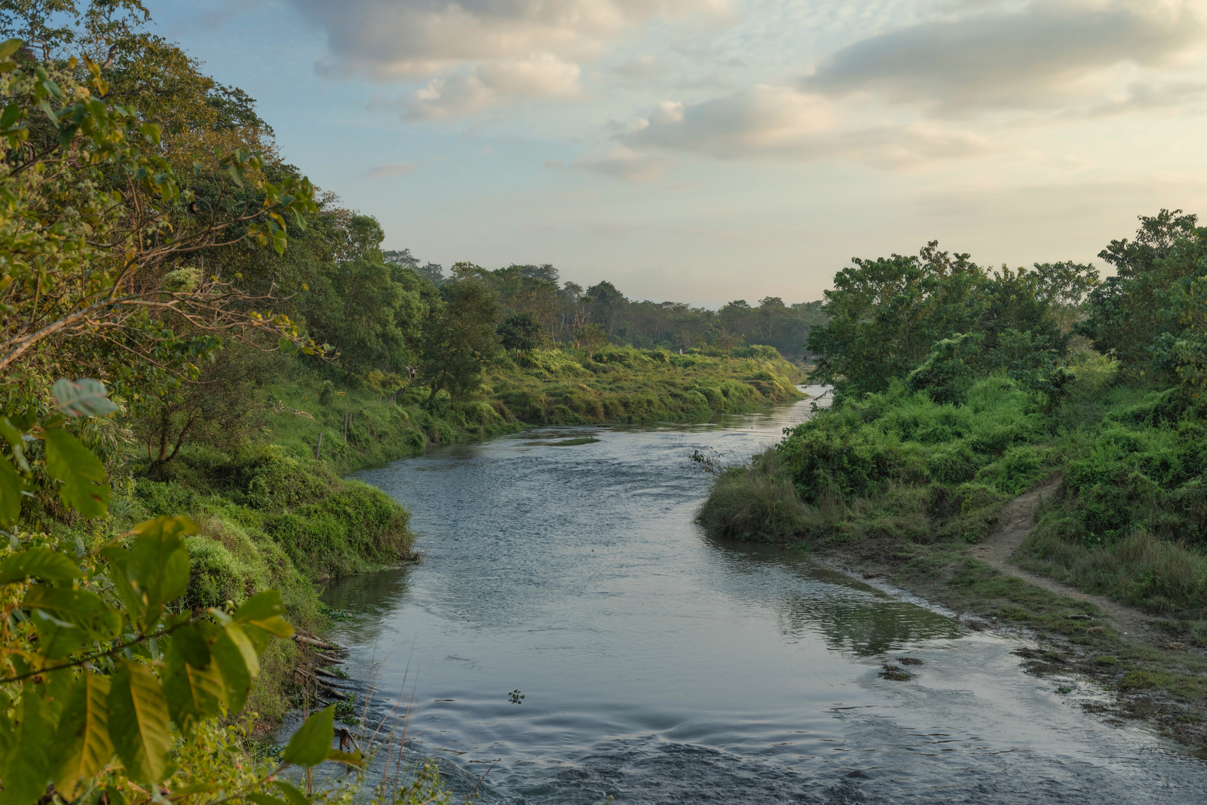 chitwan national park (nepal) (3).webp